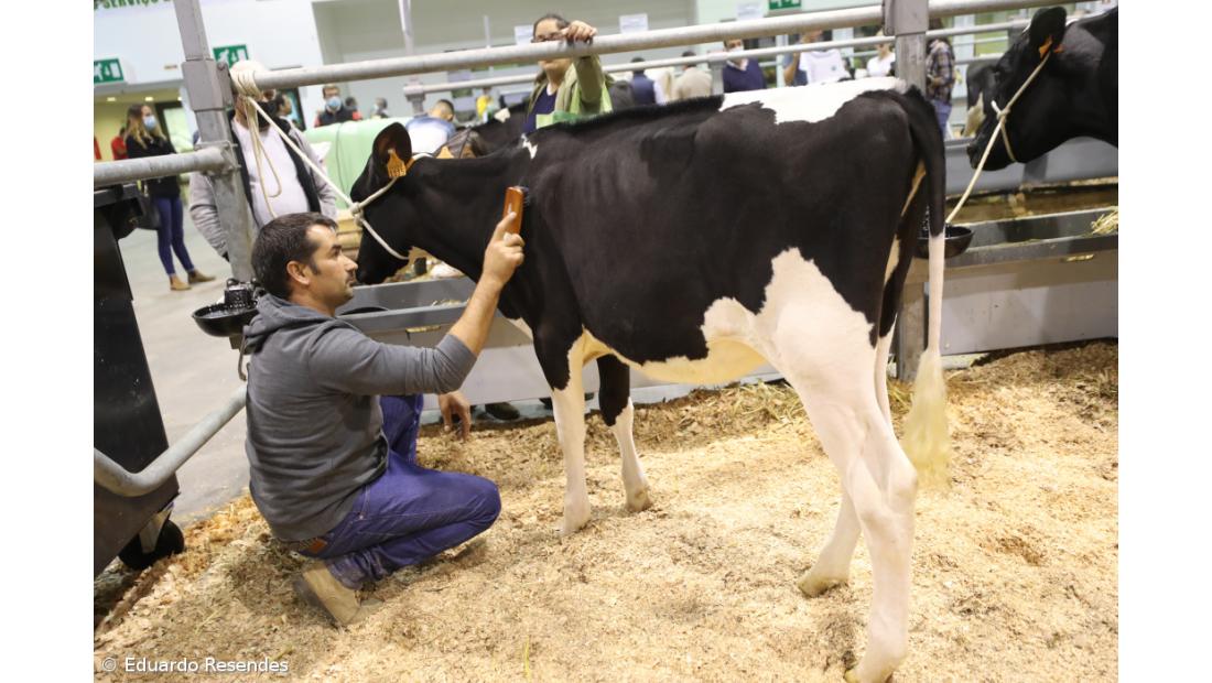 Curso de Preparadores de animais bate recorde de participantes