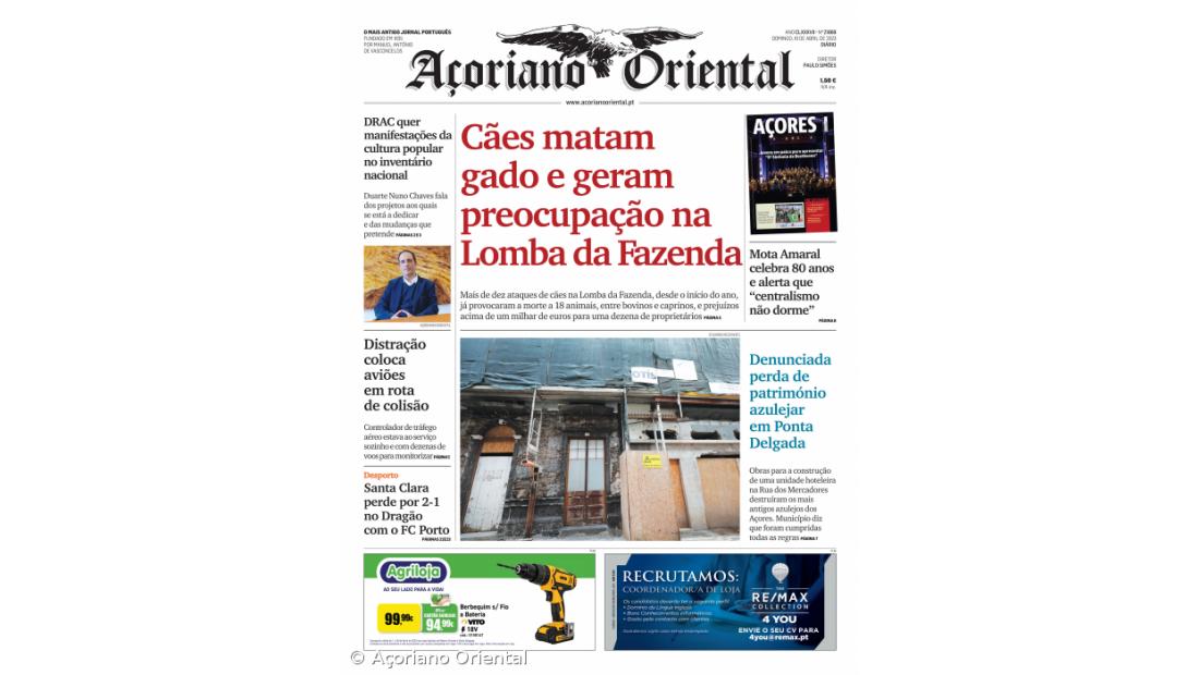 "Cães matam gado e geram preocupação na Lomba da Fazenda" é a manchete do Açoriano Oriental