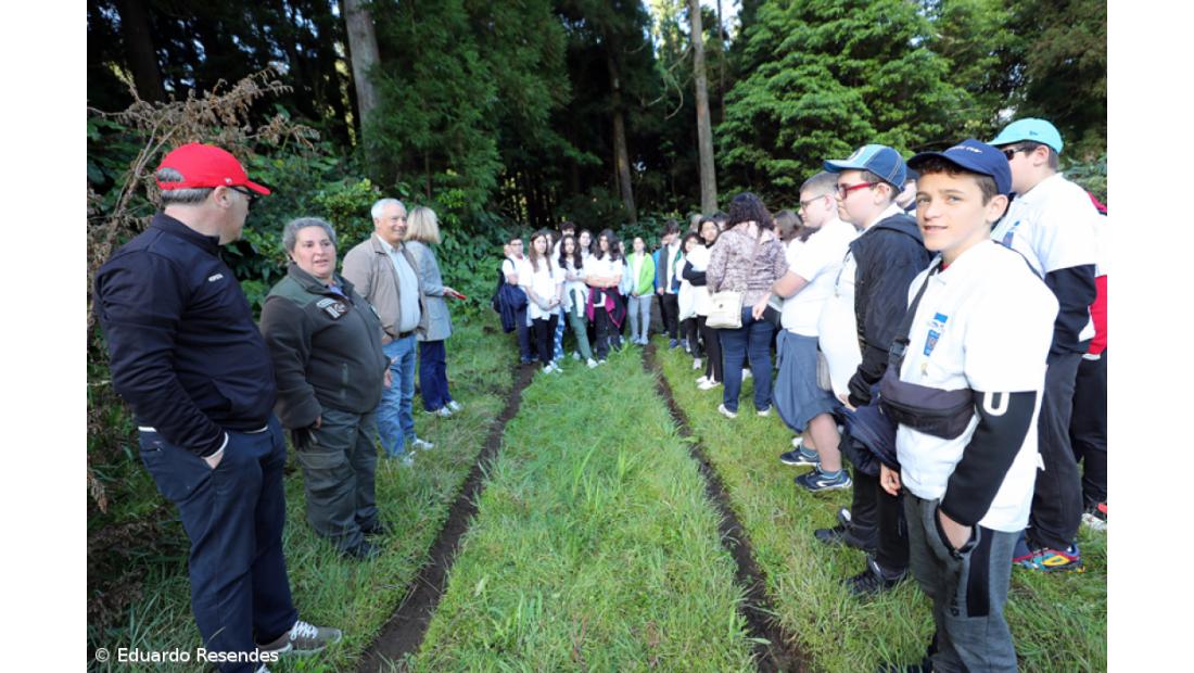188 árvores endémicas plantadas nos 188 anos do Açoriano Oriental – Imagem 5