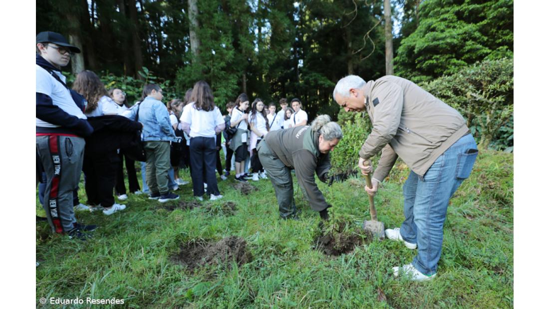 188 árvores endémicas plantadas nos 188 anos do Açoriano Oriental – Imagem 8