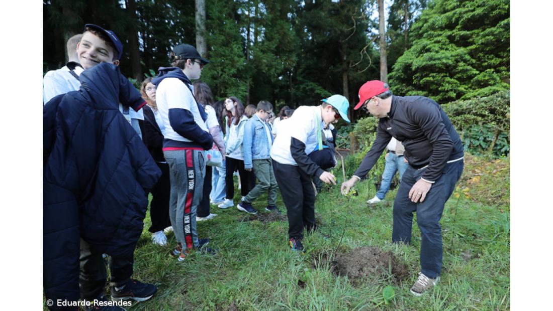 188 árvores endémicas plantadas nos 188 anos do Açoriano Oriental – Imagem 9