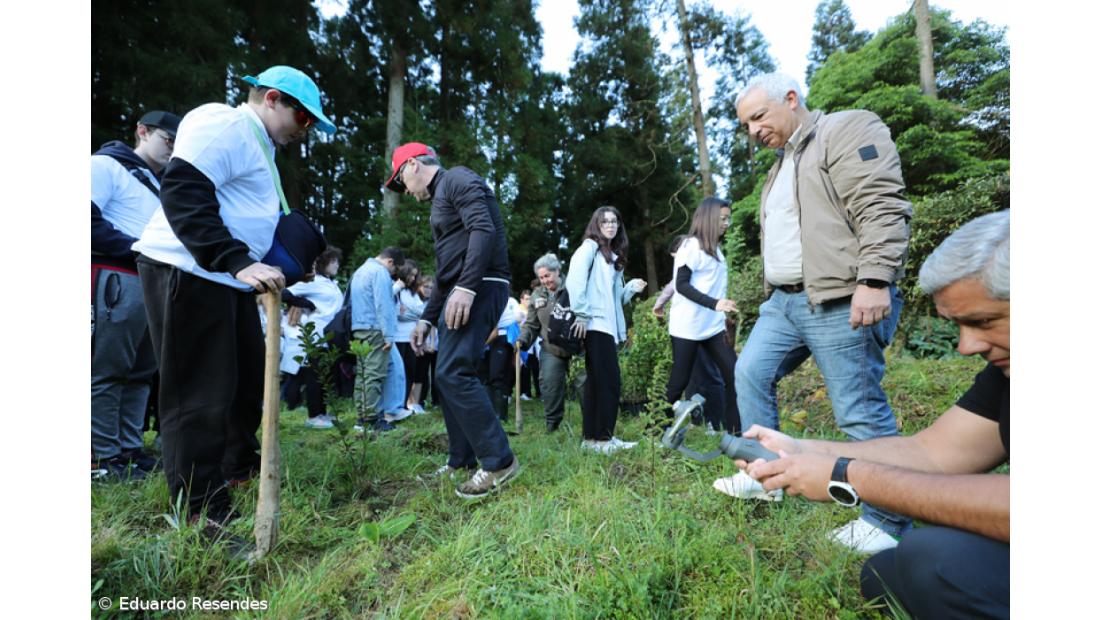 188 árvores endémicas plantadas nos 188 anos do Açoriano Oriental – Imagem 10