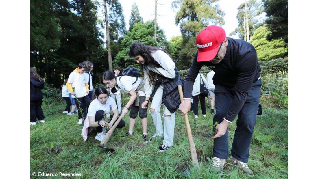 188 árvores endémicas plantadas nos 188 anos do Açoriano Oriental – Imagem 13