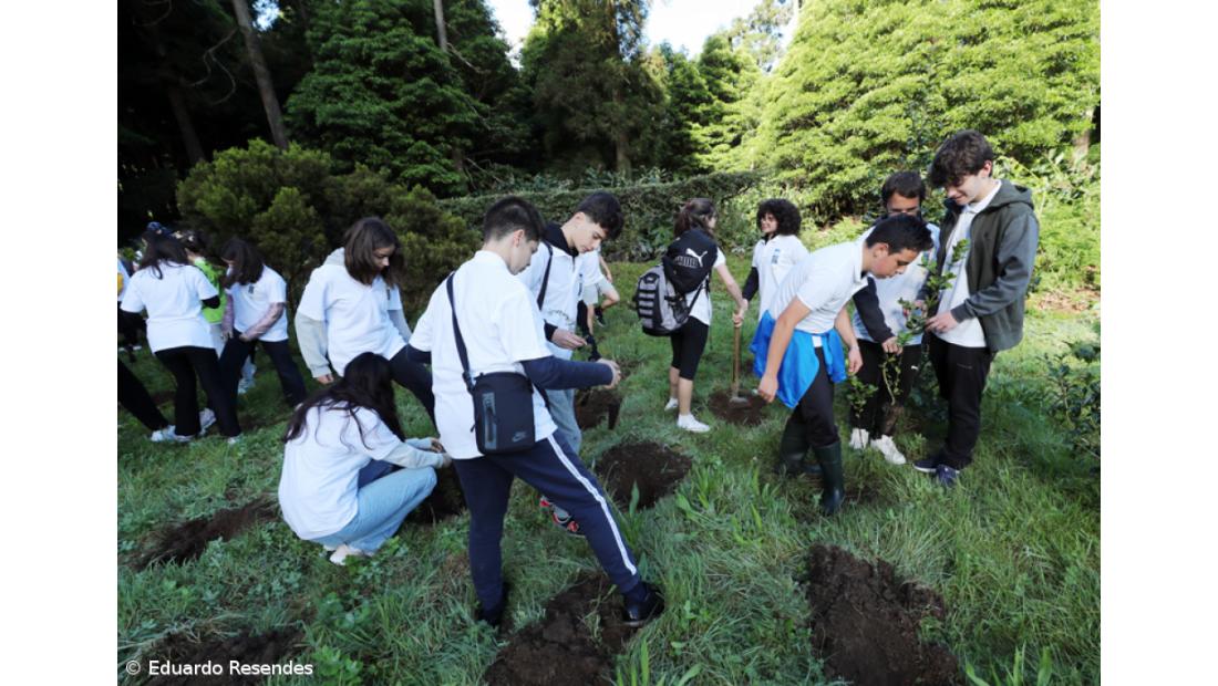 188 árvores endémicas plantadas nos 188 anos do Açoriano Oriental – Imagem 11