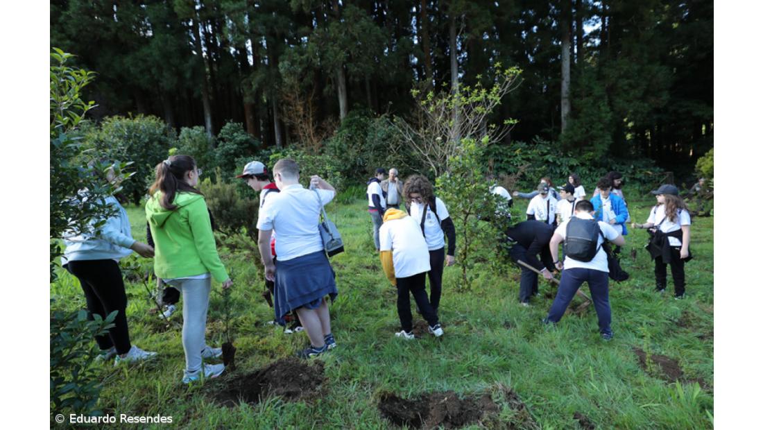 188 árvores endémicas plantadas nos 188 anos do Açoriano Oriental – Imagem 14