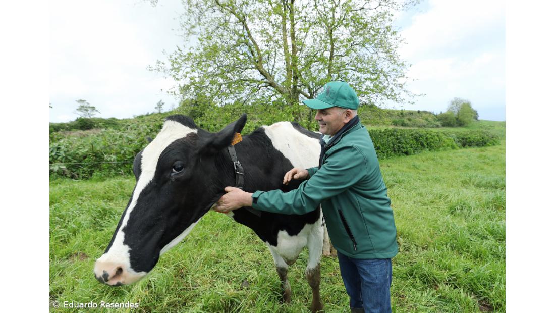 BEL com projeto-piloto de agricultura regenerativa – Imagem 3