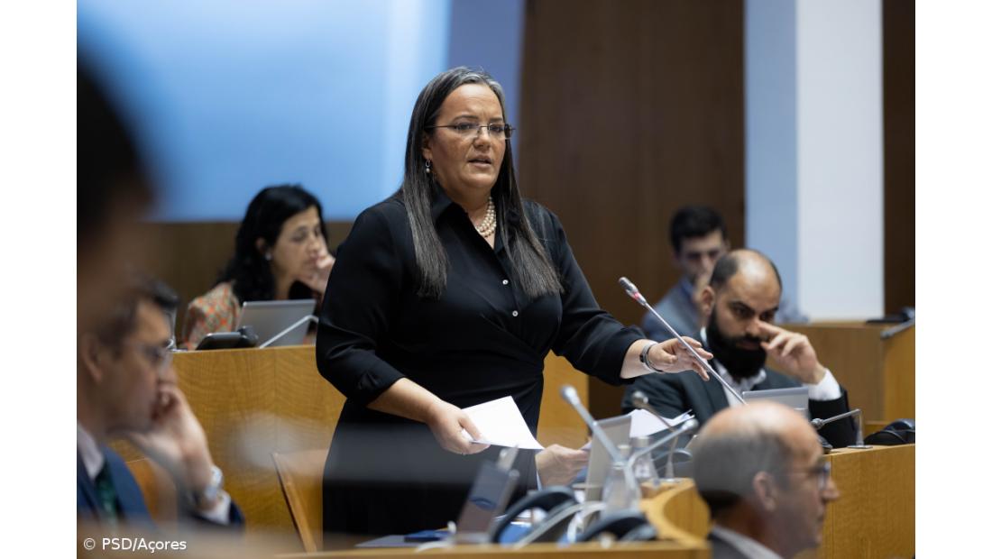 PSD defende que novo sistema de incentivos dos Açores “combate o despovoamento”