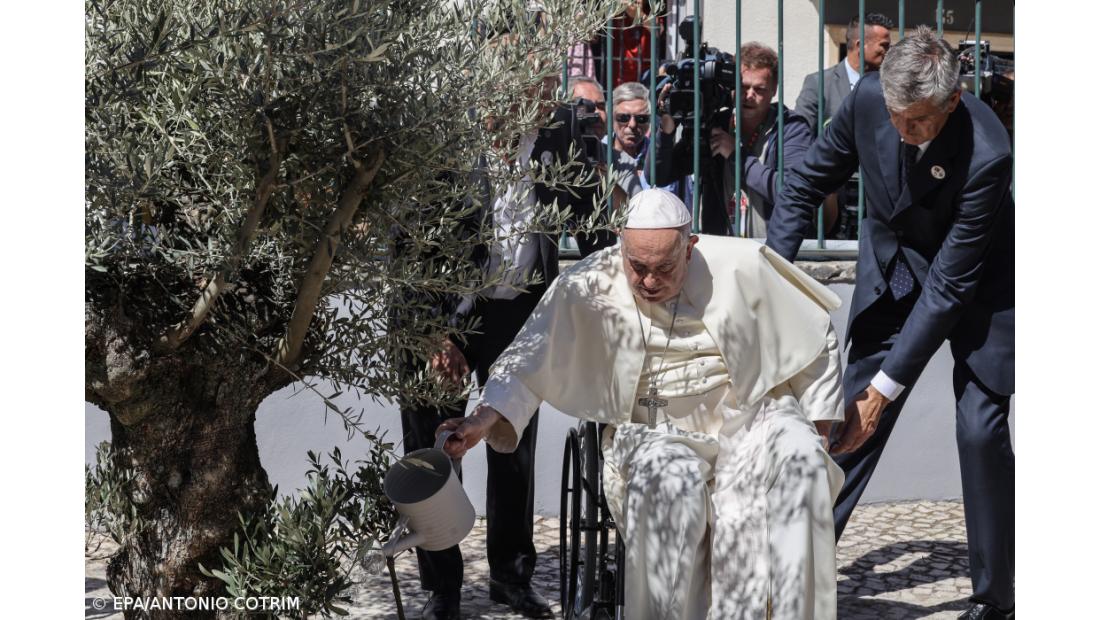 Francisco assinou uma bola de trapos e regou uma oliveira em Cascais