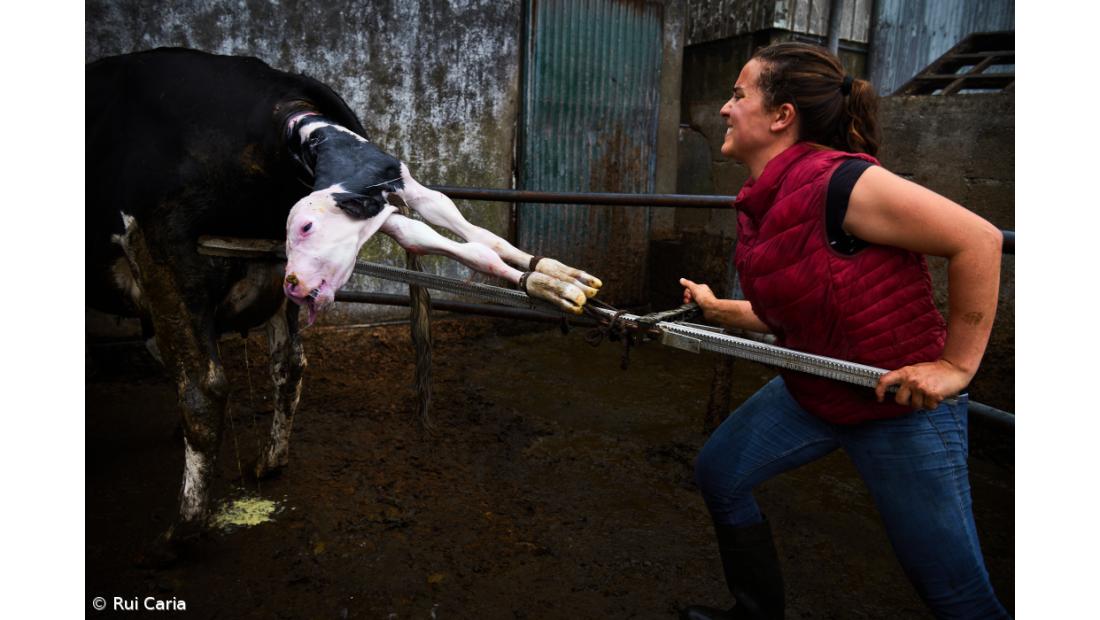 Mostra celebra mulheres trabalham na lavoura – Imagem 1