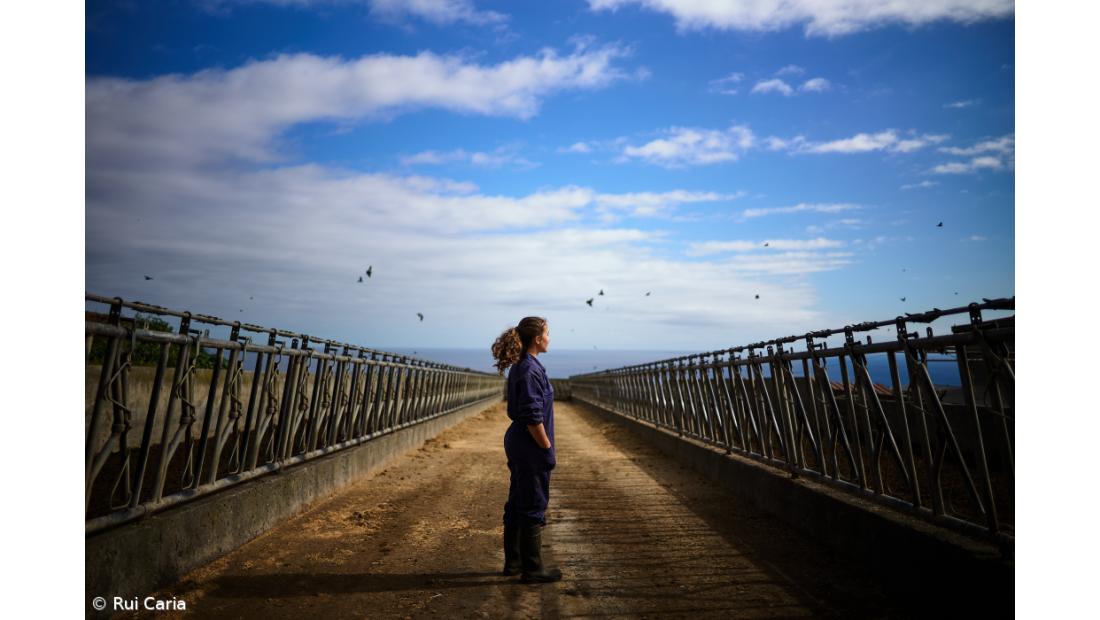 Mostra celebra mulheres trabalham na lavoura – Imagem 3