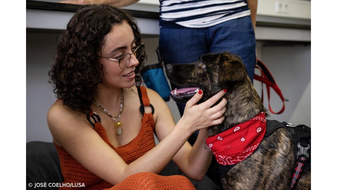 Cadela Lola estreia apoio a universitários para prevenir doença mental  – Imagem 2
