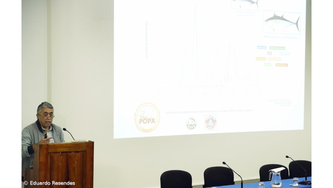 Açores são a região que produz menos riqueza no mar – Imagem 1