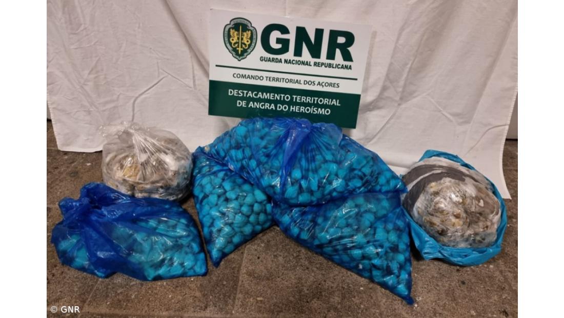 GNR apreende 40 quilos de amêijoa por falta de documentação 