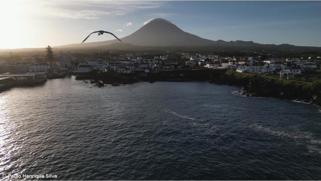 In Pico "we are great connoisseurs of time" – Imagem 3