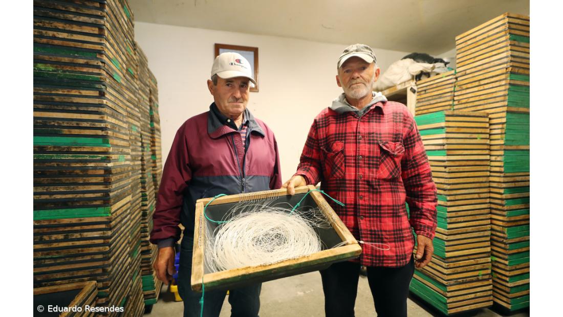 Tempestade política apanha açorianos desprevenidos e cansados – Imagem 5