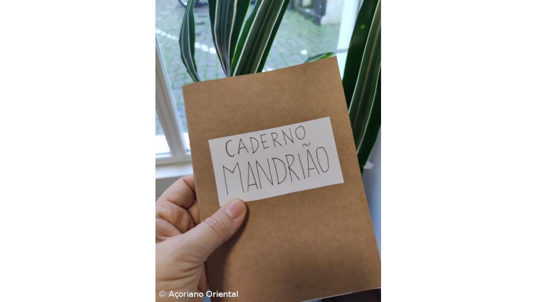 Um caderno que abre a biblioteca a novos autores – Imagem 5