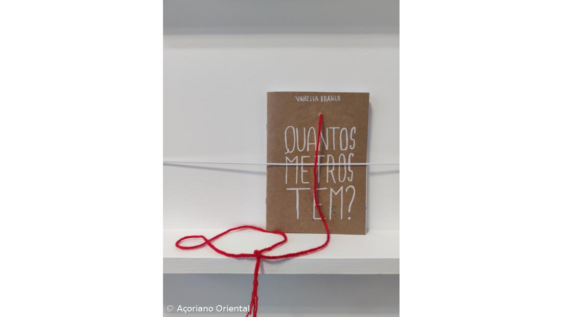 Um caderno que abre a biblioteca a novos autores – Imagem 6