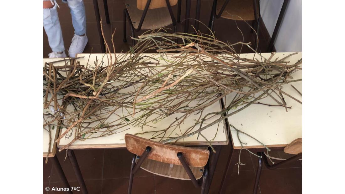 COM (muita) PAIXÃO – Imagem 2