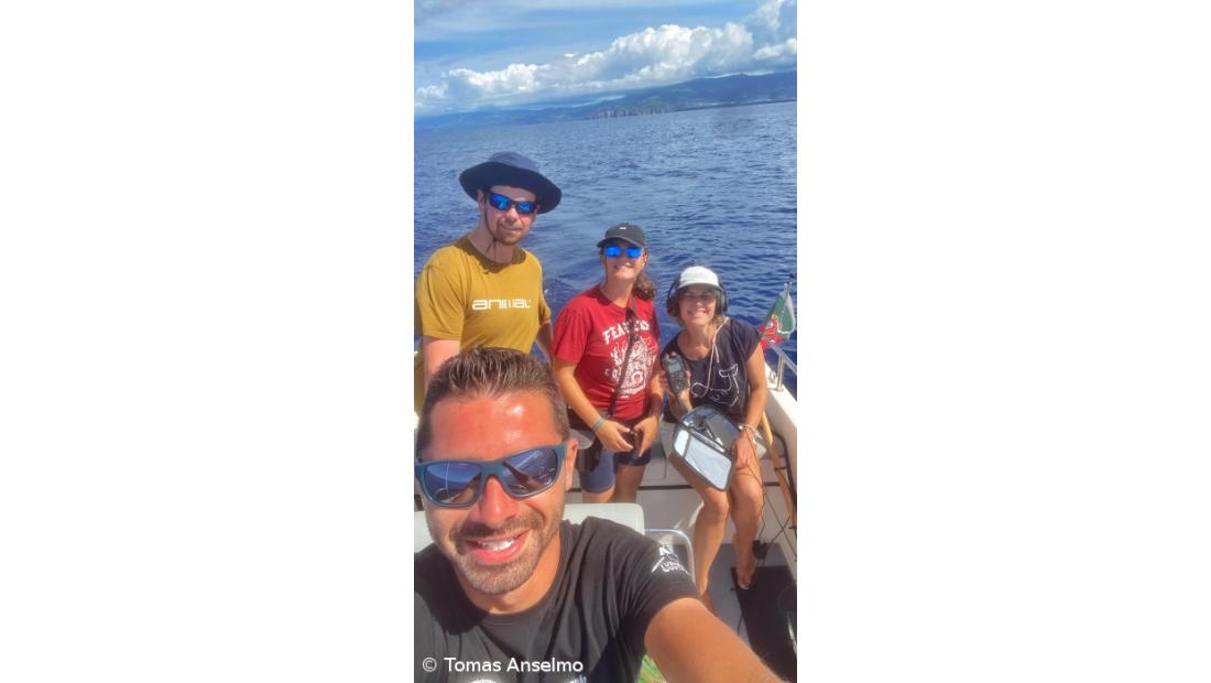 Expedição científica torna Rabo de Peixe o epicentro dos cachalotes – Imagem 1