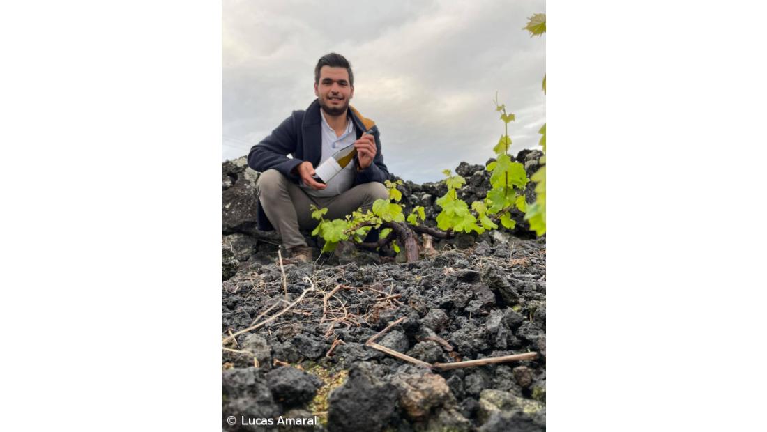 Wine runs through the veins of the Region's youngest producer – Imagem 1