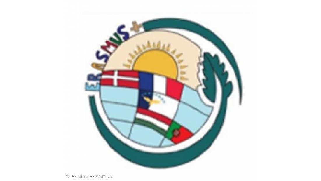 Testemunhos de alunos sobre a sua experiência ERASMUS (na Dinamarca e Hungria) – Imagem 2