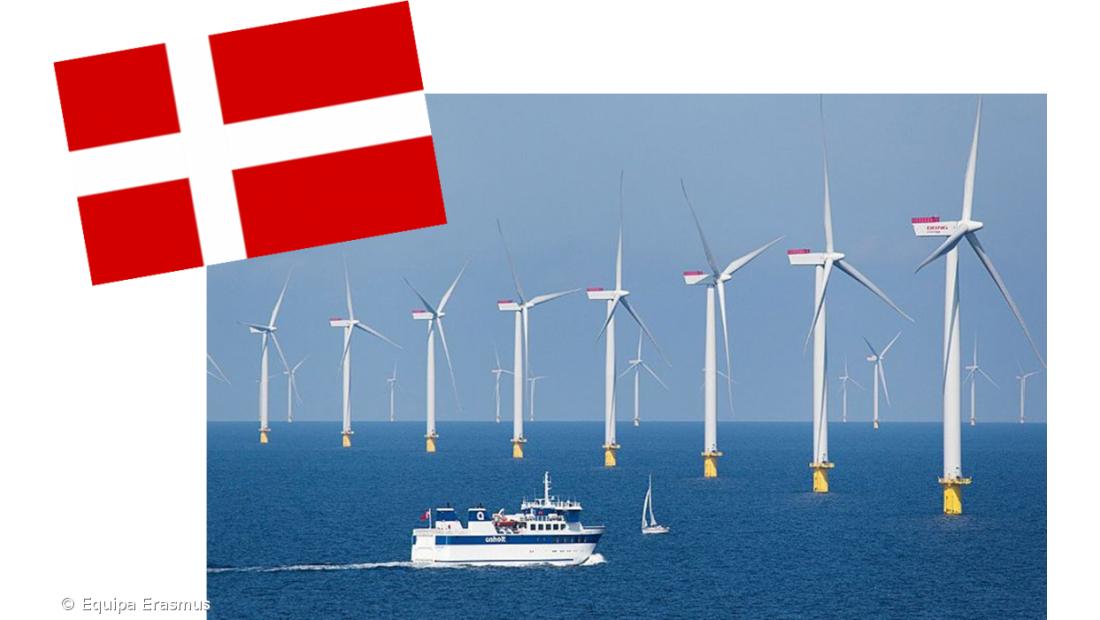 Testemunhos de alunos sobre a sua experiência ERASMUS (na Dinamarca e Hungria) – Imagem 8