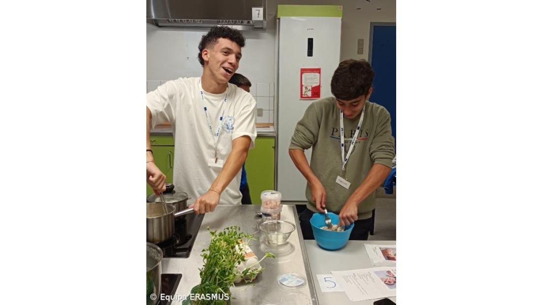 Testemunhos de alunos sobre a sua experiência ERASMUS (na Dinamarca e Hungria) – Imagem 6