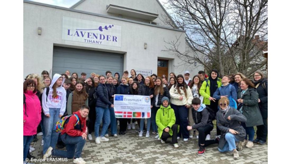 Testemunhos de alunos sobre a sua experiência ERASMUS (na Dinamarca e Hungria) – Imagem 25