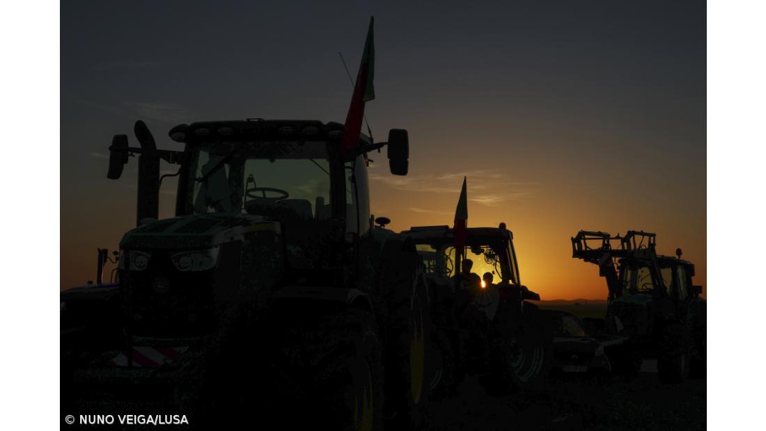 Apoios do PEPAC disponíveis a partir de 10 de dezembro