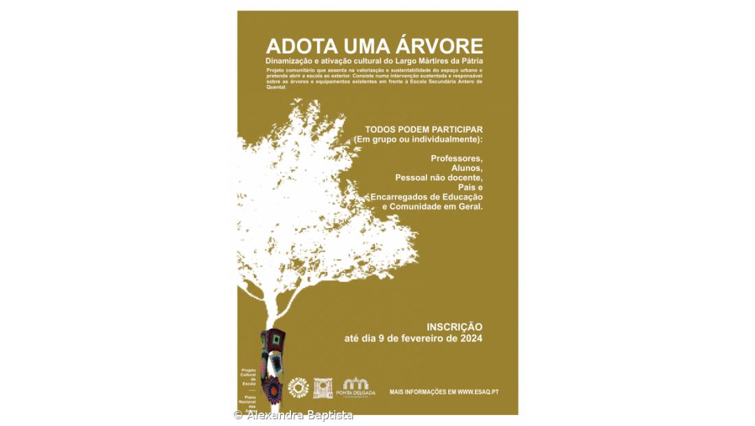 ADOTA UMA ÁRVORE – Imagem 1