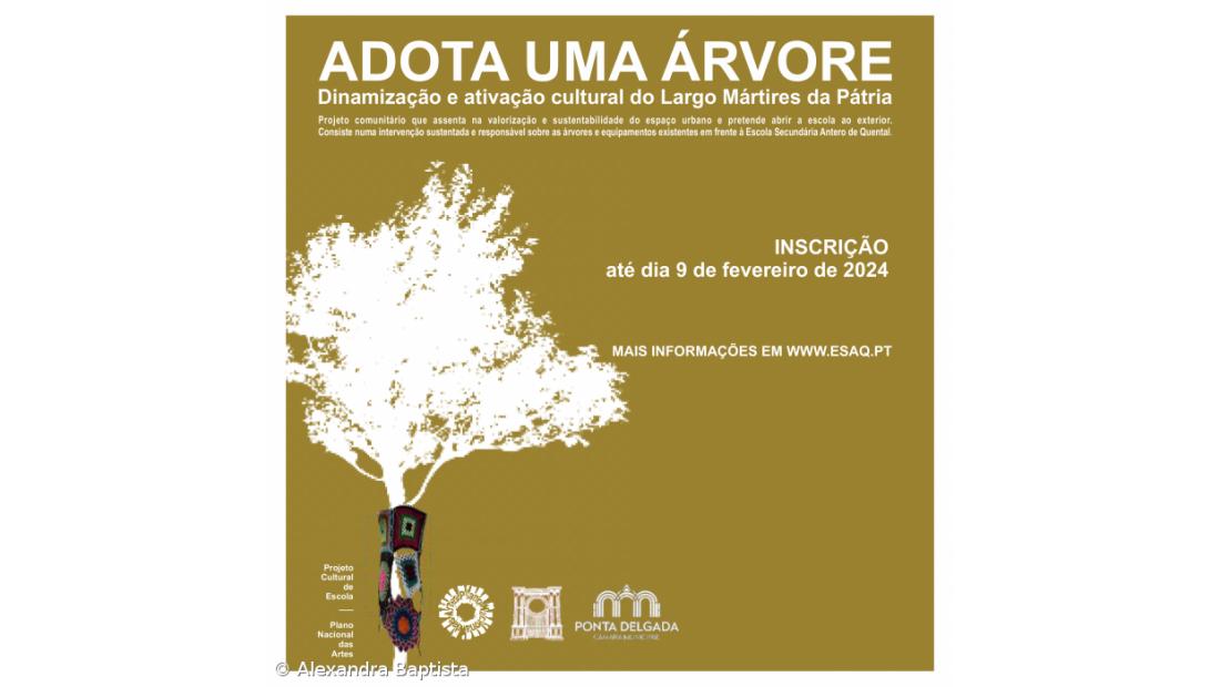 ADOTA UMA ÁRVORE – Imagem 2