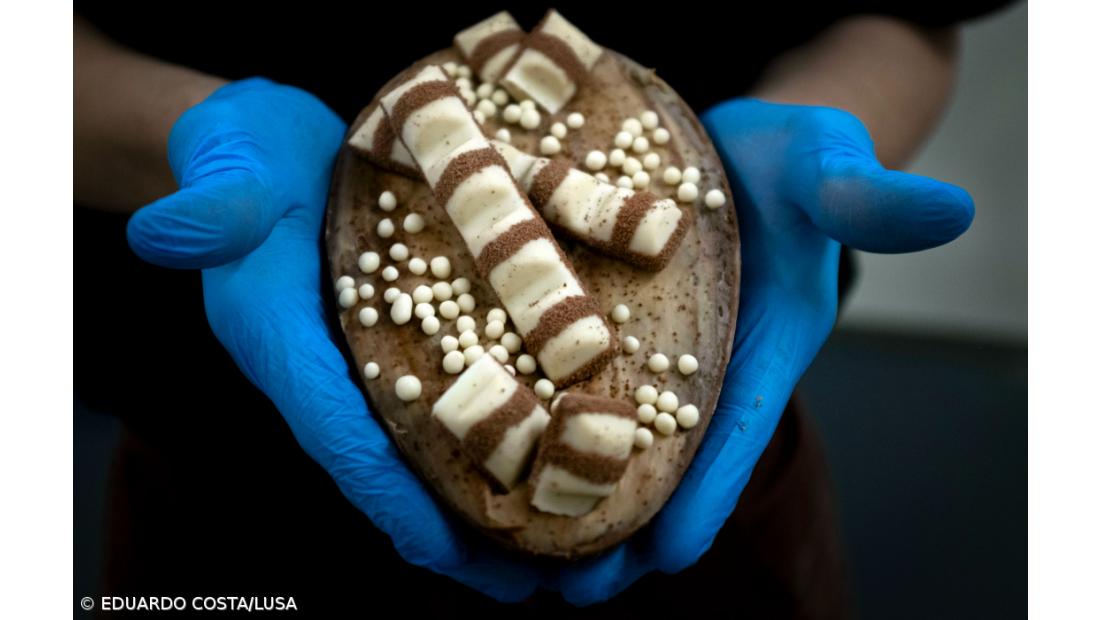 Empresário açoriano pretende investir 7ME numa nova fábrica de chocolate em Rabo de Peixe – Imagem 2