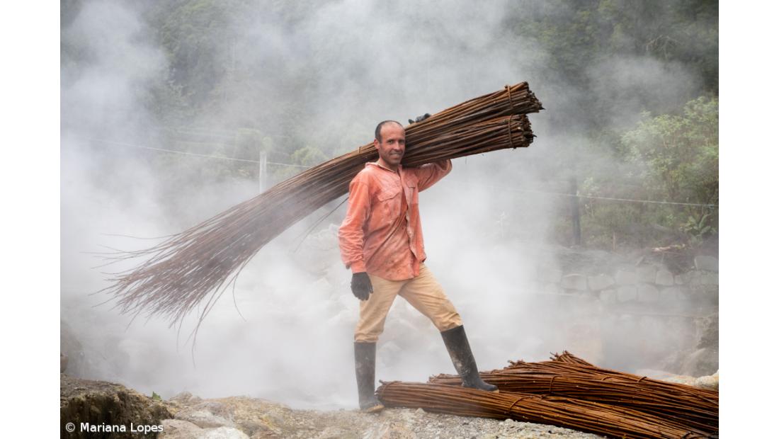 Artesão açoriano transforma vime em peças de arte com as mãos e pés  – Imagem 1