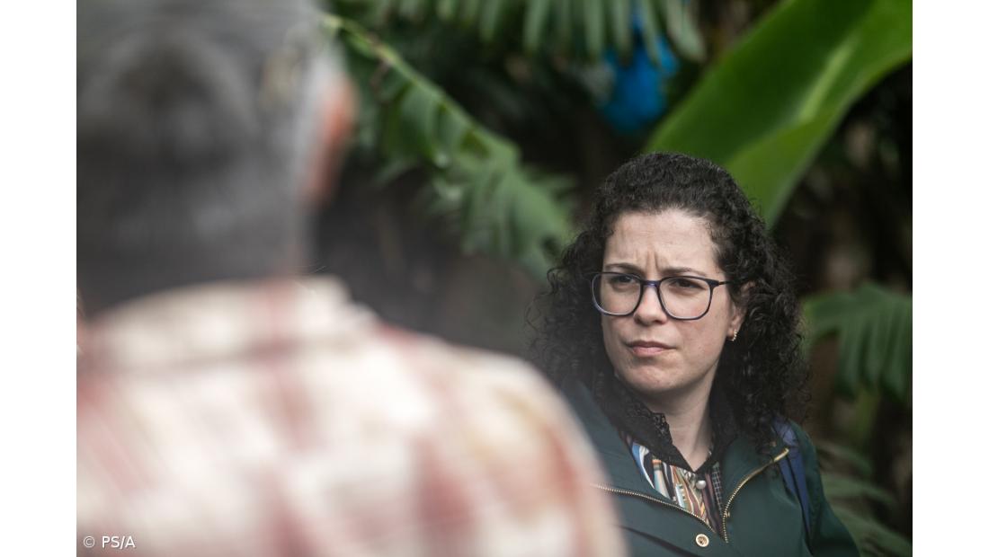 PS/Açores pede esclarecimentos sobre perda de apoios no setor vitivinícola regional