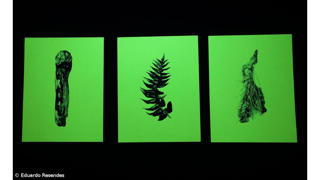 Artista mostra em exposição o seu ‘Arquivo do Acaso’ – Imagem 2