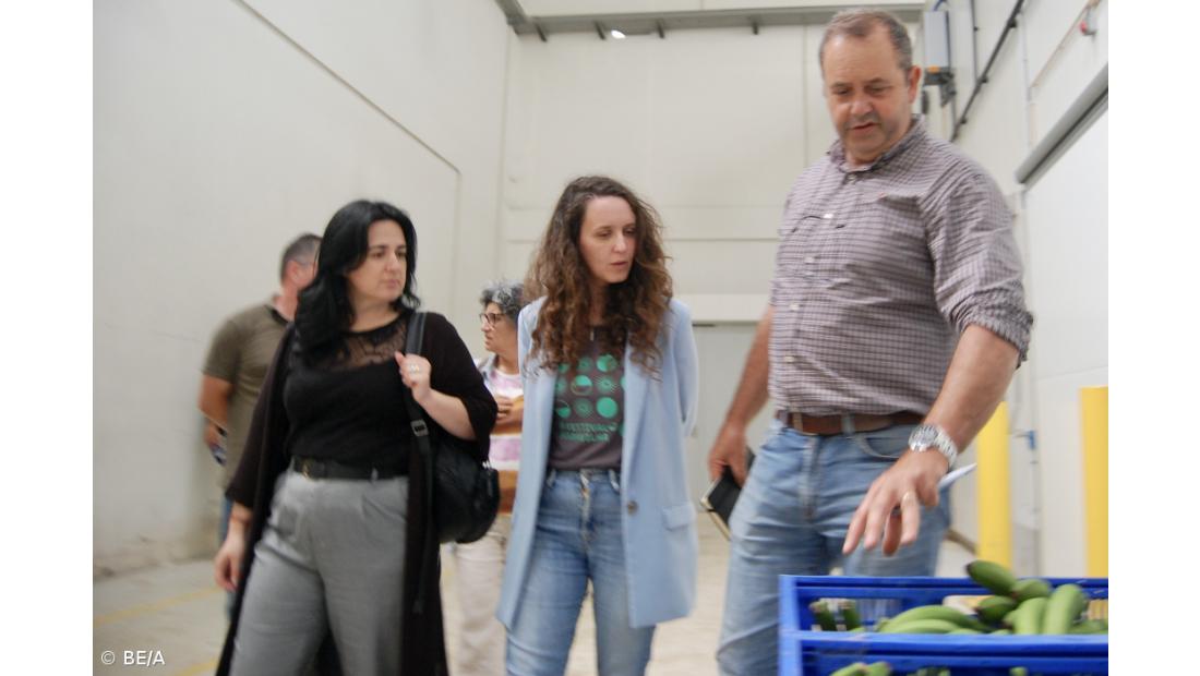 BE espera solução da UE para evitar privatização da SATA