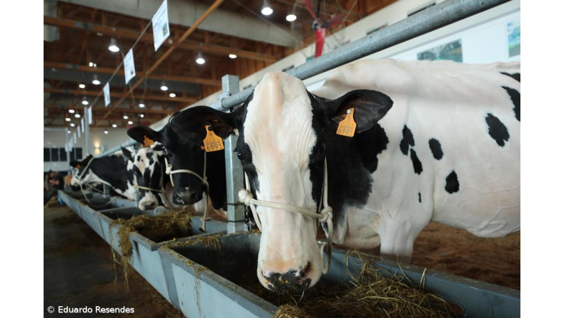 Lavoura pede pagamento rápido dos apoios com o orçamento aprovado  – Imagem 3