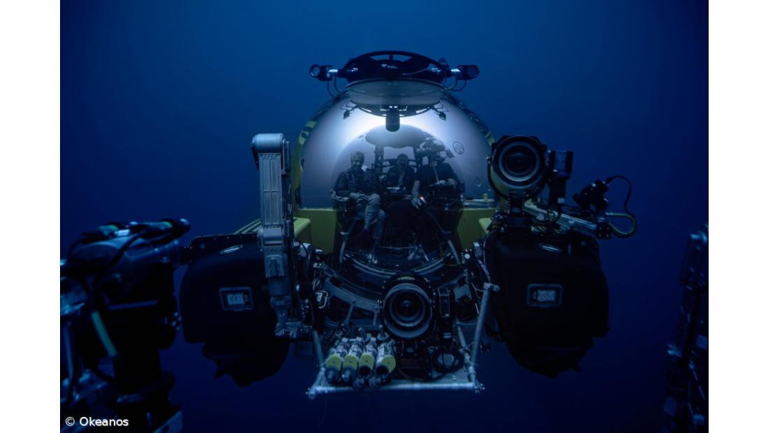 Investigações no mar profundo dos Açores revelam novas espécies – Imagem 1