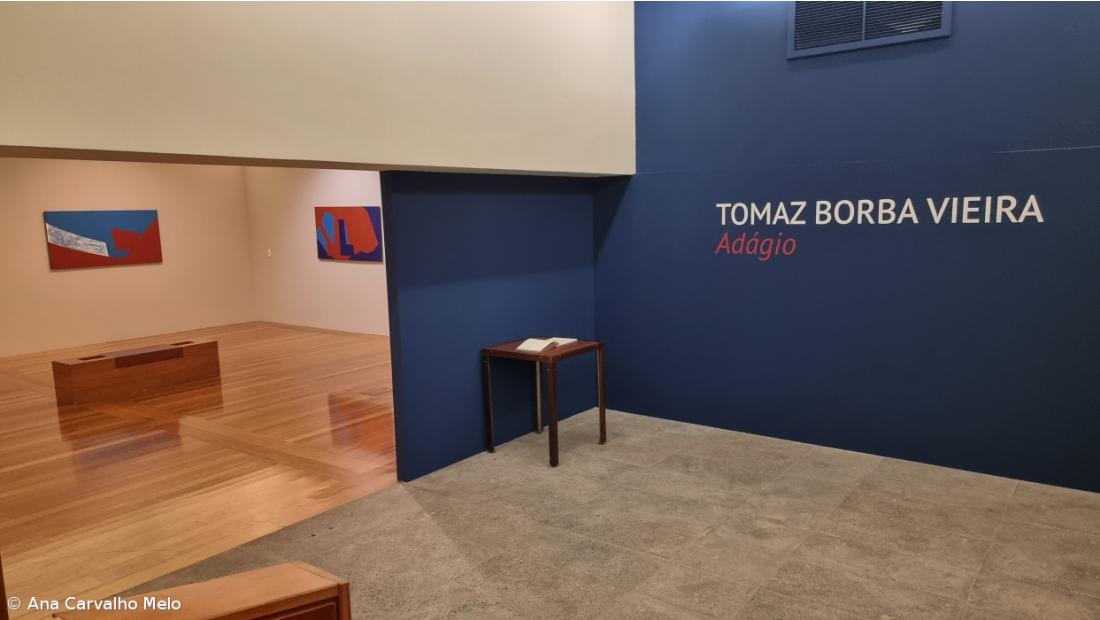 Nova exposição de Tomaz Borba Vieira celebra a arte e a vida – Imagem 2