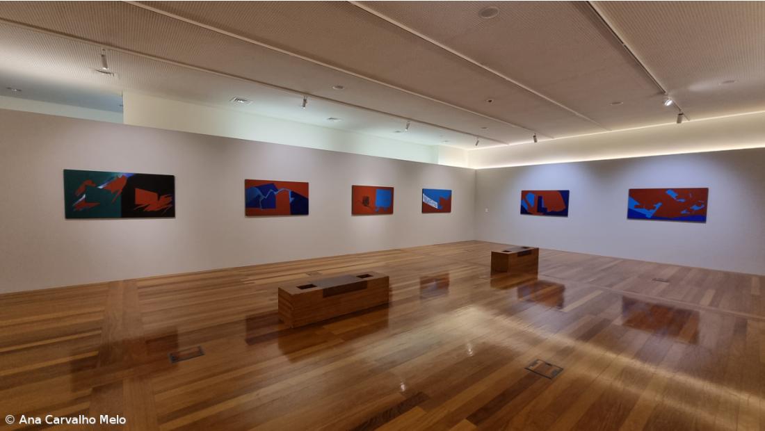 Nova exposição de Tomaz Borba Vieira celebra a arte e a vida – Imagem 4