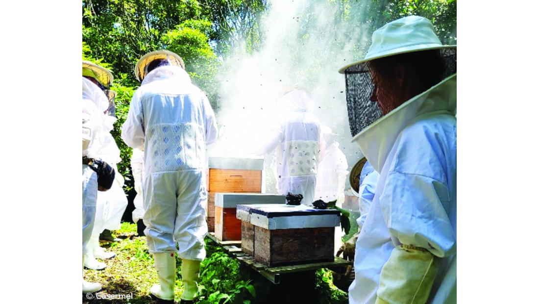 Melaria e formação vão permitir valorização do mel de São Miguel