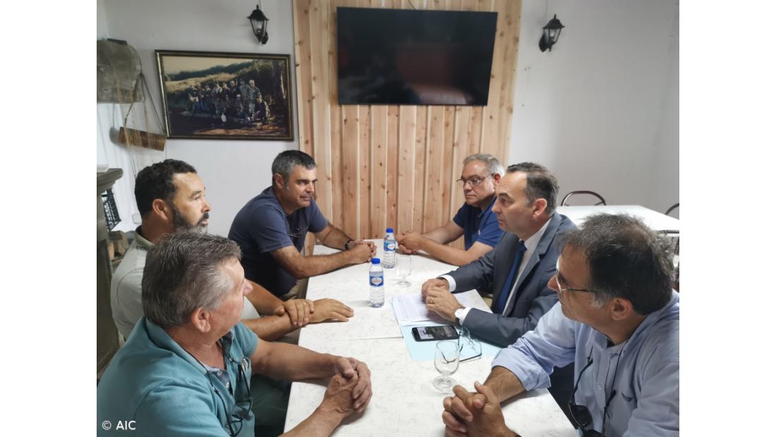 Caça ao coelho-bravo volta a ser permitida nas oito ilhas com atividade cinegética