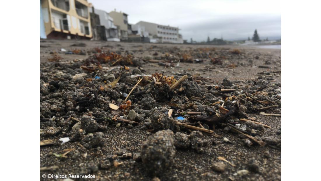 Quatro zonas balneares de Ponta Delgada estão interditas a banhos – Imagem 2