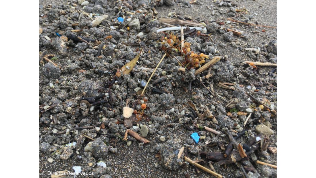 Quatro zonas balneares de Ponta Delgada estão interditas a banhos – Imagem 3