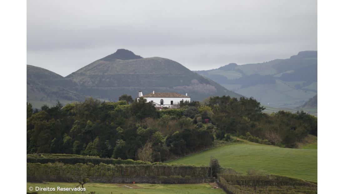 Pico do Refúgio: A quinta que se transformou num espaço de criação – Imagem 3