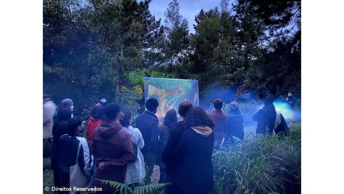 Pico do Refúgio: A quinta que se transformou num espaço de criação – Imagem 4
