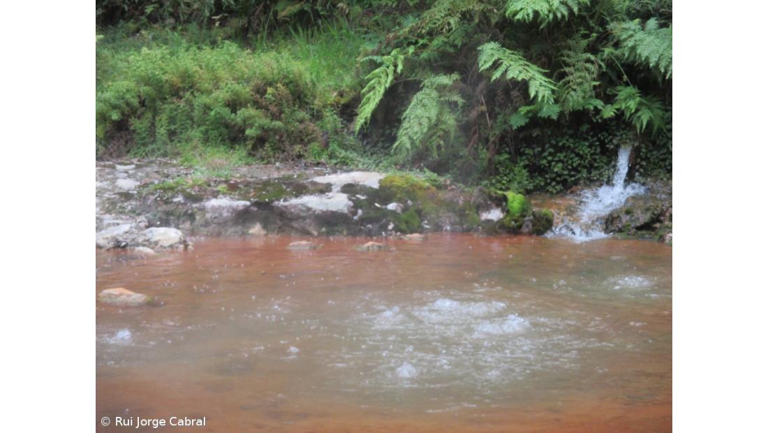 Reabertura de zonas termais encerradas em São Miguel depende das novas análises