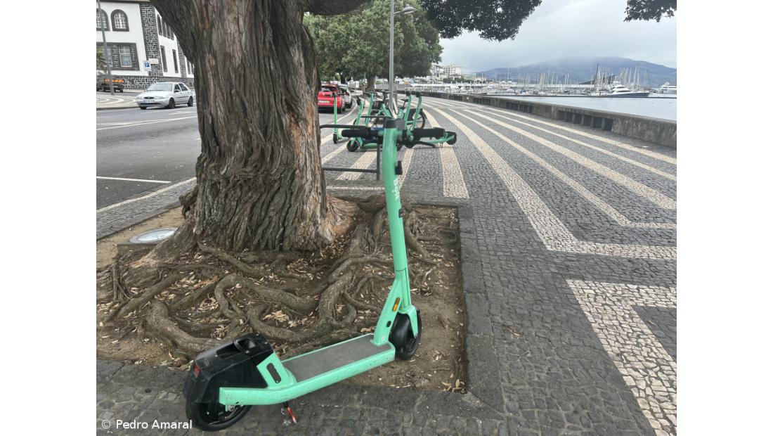 Trotinetes são “práticas”, mas “causam incómodo” – Imagem 3