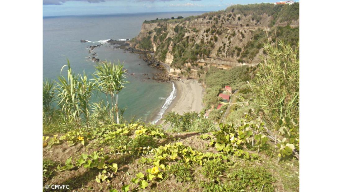 Legalização de construções ilegais é sempre avaliada