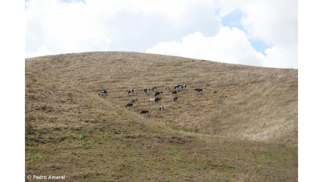 PCP/Açores defende monitorização de bacias de água e avaliação de eventuais aumentos